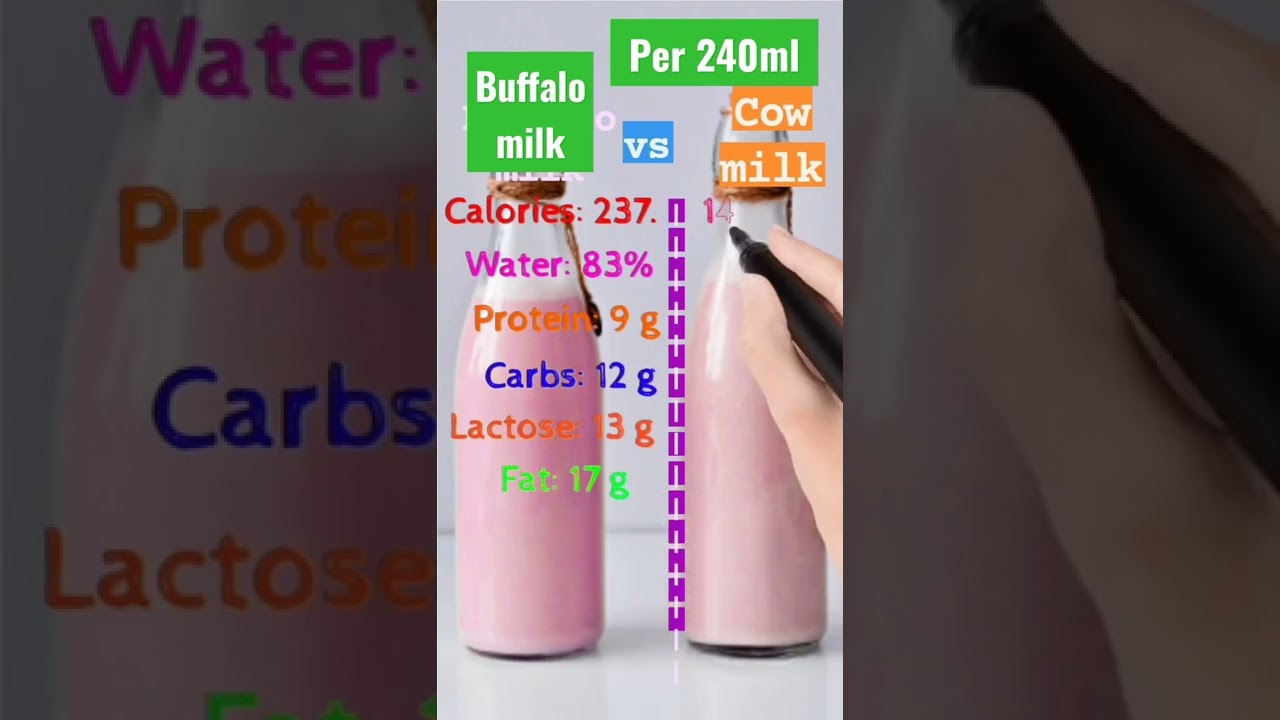 buffalo-milk-vscow-milk-milk-milkbenefits-healthy-protein-nutrition-nutritionfacts